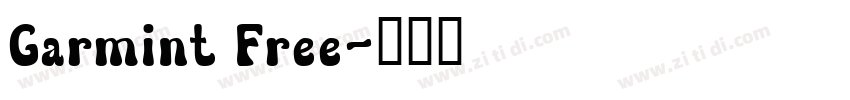 Garmint Free字体转换